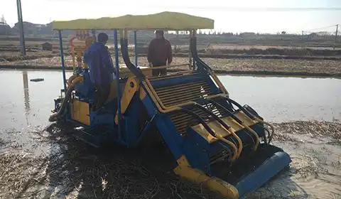 行行出状元镇江一市民造出全国首台荸荠采收机