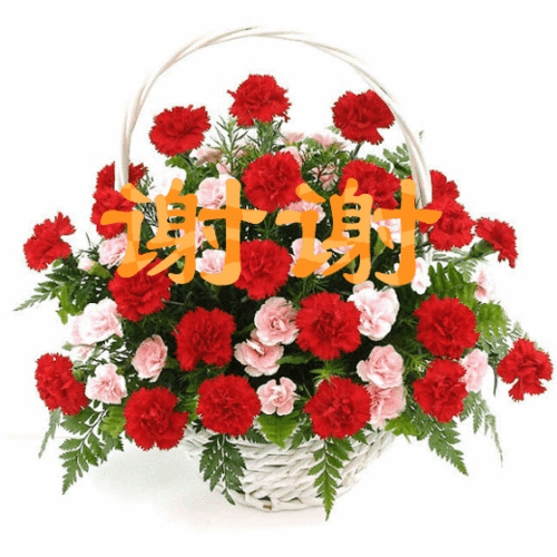 【摄影师&写手聚会】6月4日天成之美文化茶馆