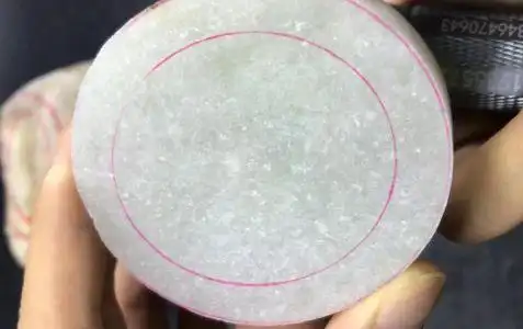 你真的了解"苍蝇翅"吗?