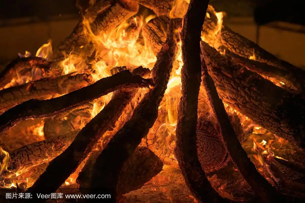 篝火与燃烧的木头的照片