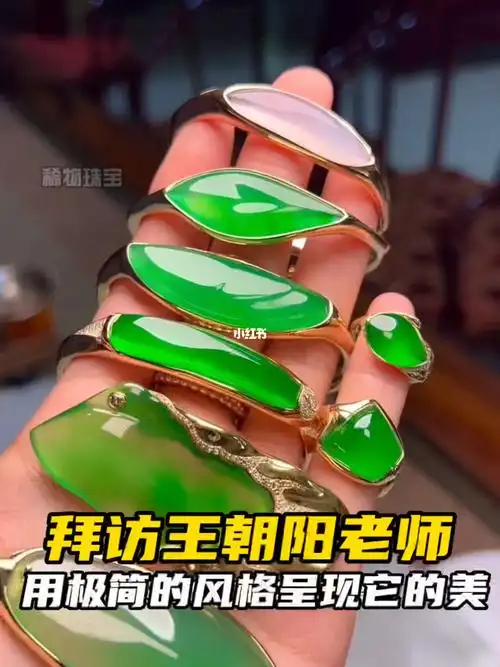 拜访王朝阳老师用极简的风格呈现它的美