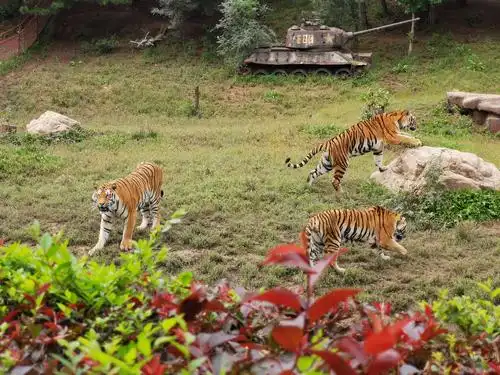 沈阳森林动物园