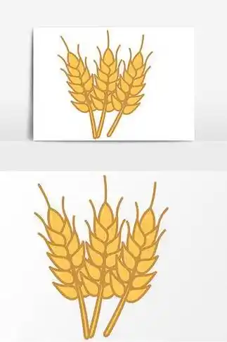 小麦简笔画 小麦简笔画图片