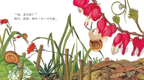 儿童绘本故事推荐《蜗牛》