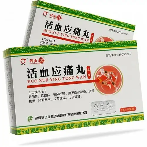 丹龙活血应痛丸2g10袋