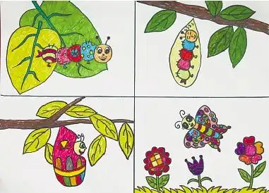 我们眼中月亮长着翅膀图