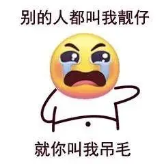 表情包别人都叫我靓仔就你叫我吊毛