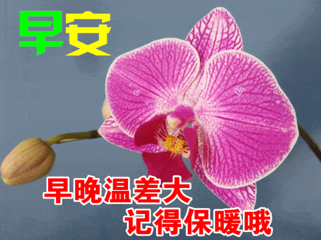 10月13日最漂亮早上好动态表情图片大全早晨好动图美图大全