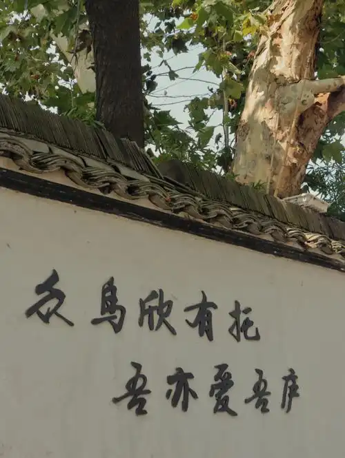 众鸟欣有托吾亦爱吾庐