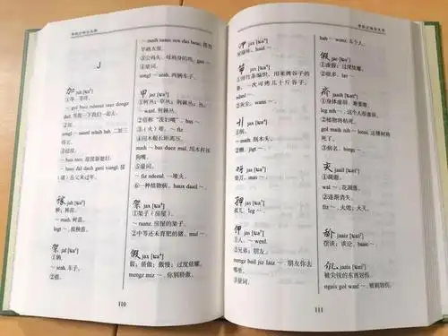 官宣:《布依族方块古文字》字典新书荔波发布