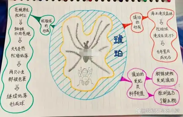 四年级语文下册第5课《琥珀》仿写小练笔思维导图板书设计