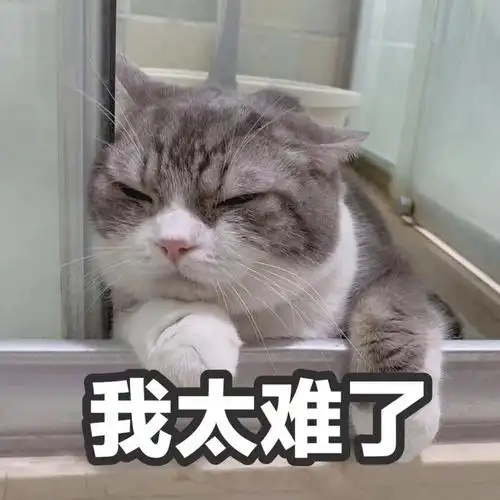 萌宠猫星人我太难了不开心呆萌可爱gif动图_动态图_表情包下载_soogif