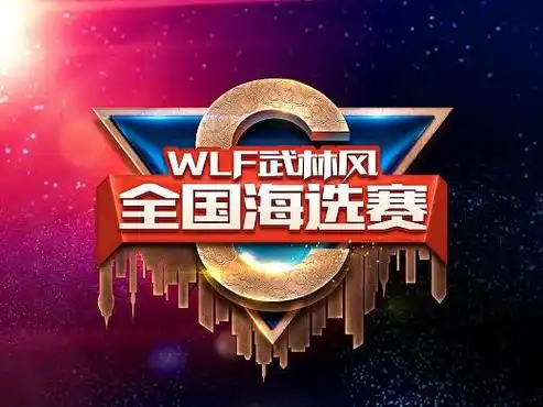 武林风东北海选4