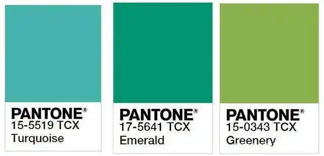 好看的色彩搭配方案—绿色