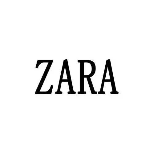 zara_注册号48546229_商标注册查询 - 天眼查