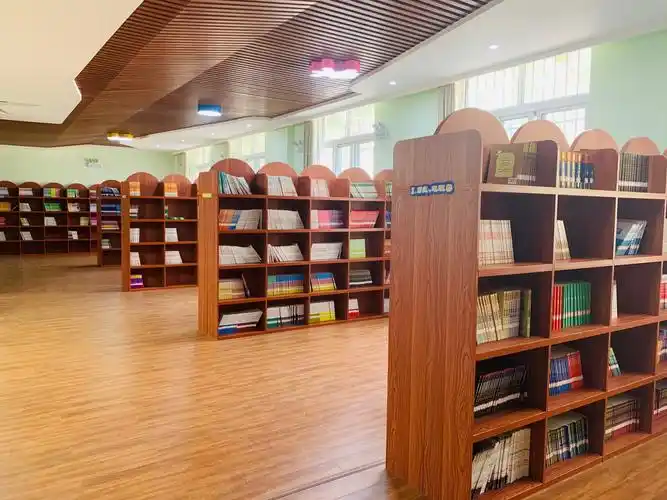 "阅读润童心,书香沁校园"——驻马店市第三十三小学图书馆学生借阅