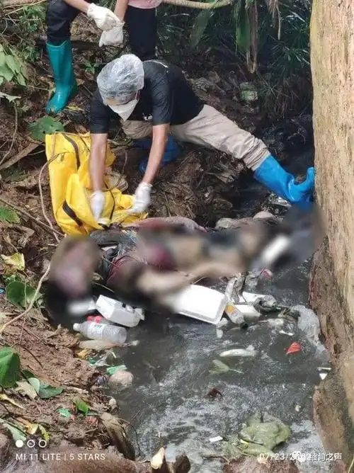 公益组织:都长蛆了|尸身_网易订阅