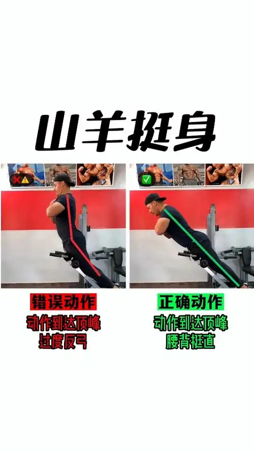 山羊挺身,目标肌群背部,你做对了吗?