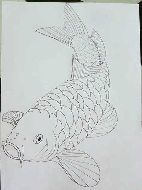 关于鱼的画 关于鱼的画画作品图片