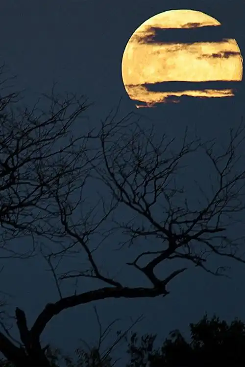 唯美的明月,月亮小清新图片欣赏