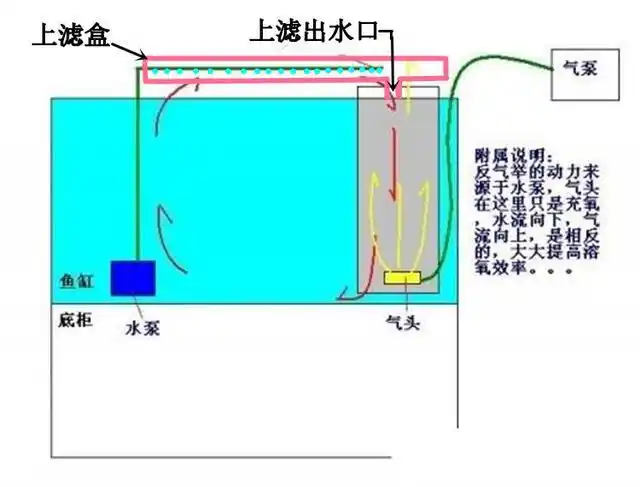 为什么反气举都是新手用