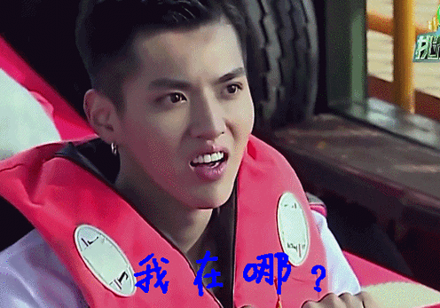 【表情包】你把表情落我这了---吴亦凡