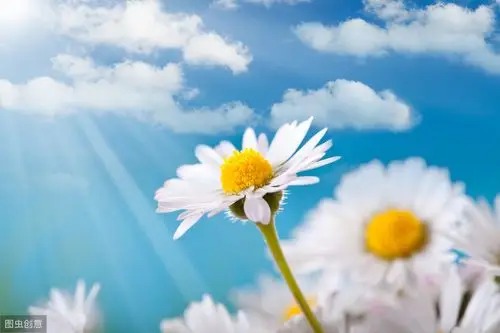 原创温馨唯美的朋友圈短句励志阳光值得写在今天的日记上