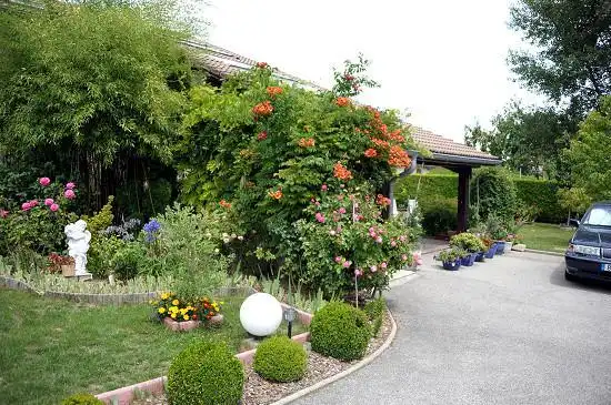 老一代中国女排队长杨锡兰生活在瑞士 - 春秋 - 格调春秋