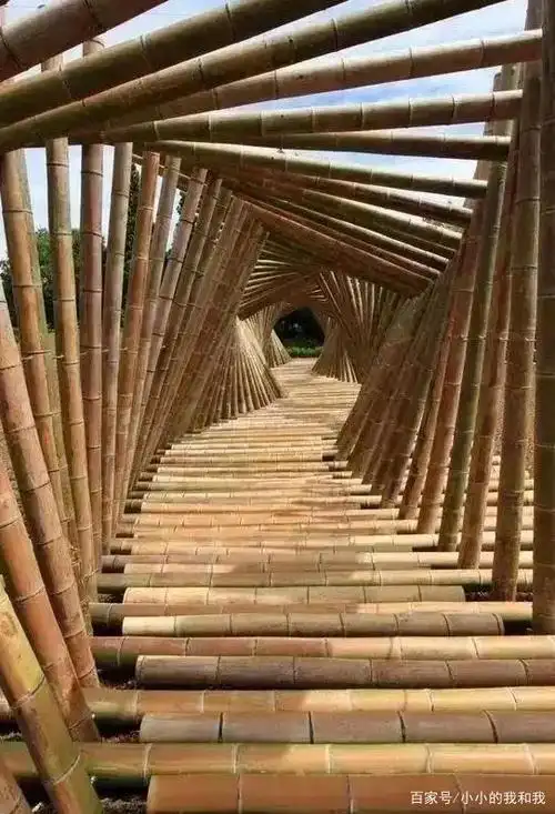 房子,倾听着大自然的声音,项目看上去非常广阔,走在竹子搭建的走廊里