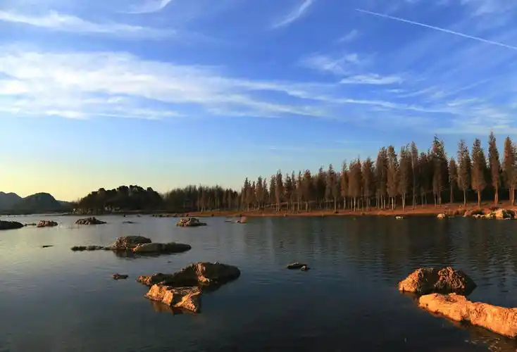 静谧安然的海峰湿地 - 听雨 - 躲进荒村去听雨