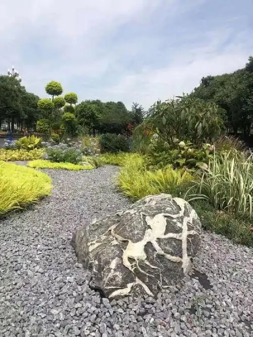 草坪点缀造景石绿化点缀天然景观石