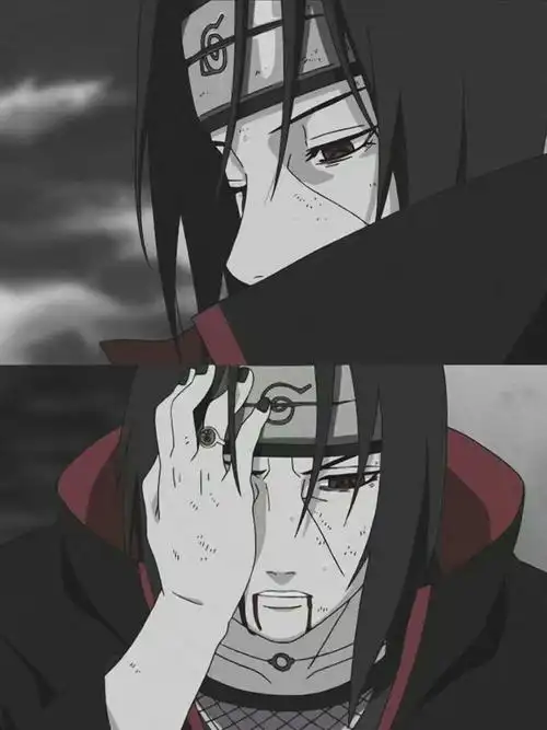 鼬- 堆糖,美图壁纸兴趣社区