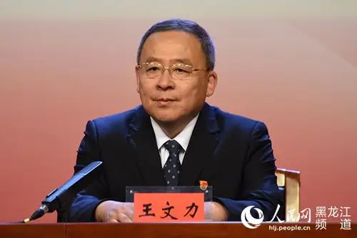 七台河市委书记王文力作主旨发布
