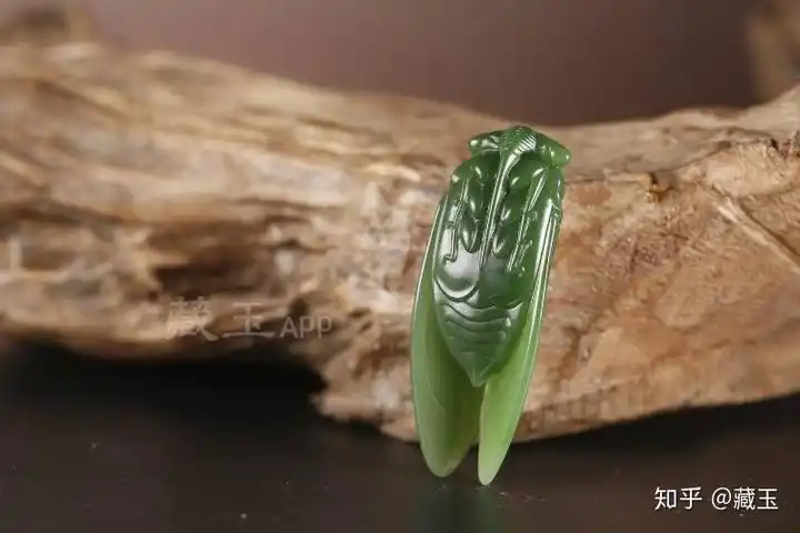 八月听蝉声赏玉蝉入禅境玉雕里的蝉韵