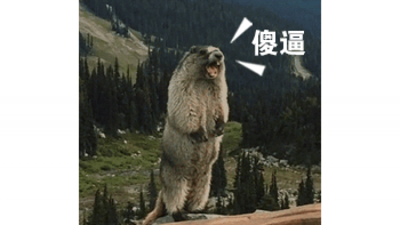表情包|土拨鼠尖叫表情包集合