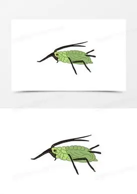 卡通简笔画害虫蚜虫免抠素材