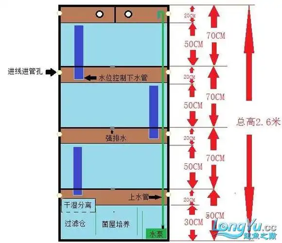 组缸设计图,大家提提意见 - 龙缸器材 - 龙鱼之巅