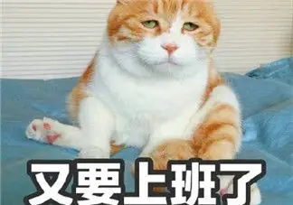 上班第一天早安心语 年后第一天上班心情感慨