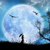 月亮图片大全唯美大图_微信头像图片大全