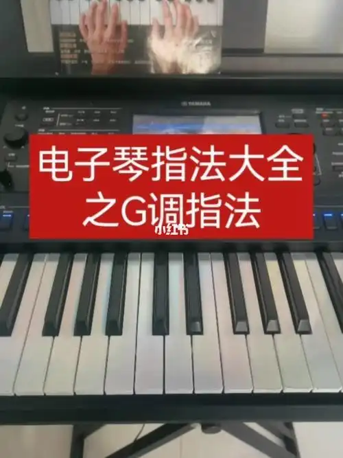 电子琴演奏  #电子琴教学  #指法