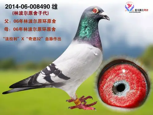 >> 查看拍卖商品