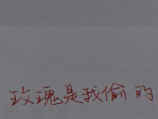 手写玫瑰是我偷的你爱的人是我杀的