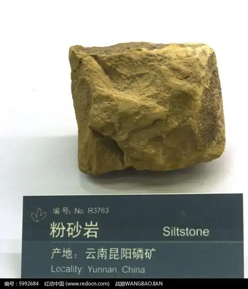 云南昆阳磷矿粉砂岩