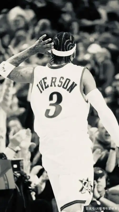 阿伦·艾弗森壁纸(银色调)