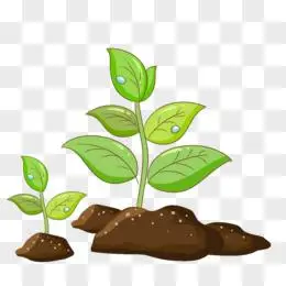 幼苗pngai绿色发芽pngai手绘卡通豆芽插画免抠元素pngpsd一组卡通手绘