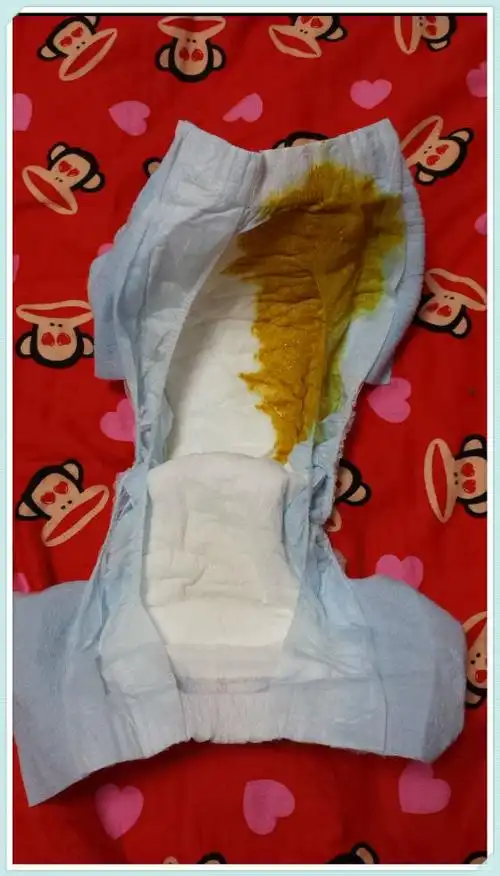 接下来是一张很具挑战的照片,拉了一坨超级粑粑,一点都不漏哦,而且