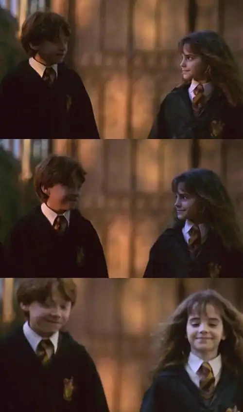 赫敏和罗恩在一起的七大理由:官配就是最甜的|哈利|马尔福_网易订阅