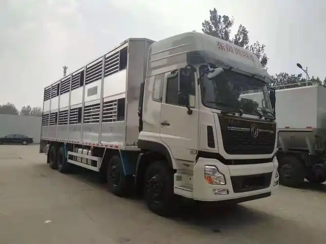 月以后有关规定  按照合同要求来厂自提或送车到客户,6,按运输车,拉猪