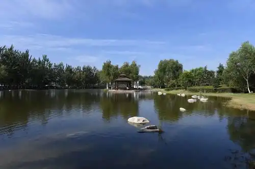 2019年7月5日,西安紫薇湖景色美篇