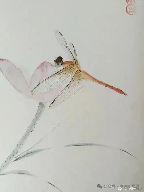 小荷才露尖尖角,早有蜻蜓立上头.这画,太美了